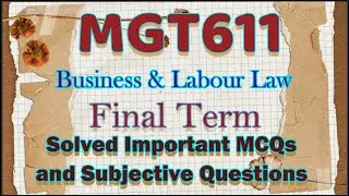MGT611 Final Term|MGT611 Final Term Solved Important MCQs|
