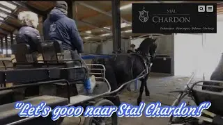 Stal Chardon, here we come!  Men-ambities met Lukas 🐎🎓| PHDressage