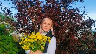 🏠🌲Загородный Дом где Сезон Дождей ☔Буду ли Вести Канал Дальше? 🥳🎂 3 ГОДА КАНАЛУ❗  