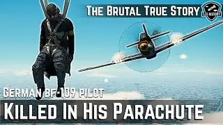 The P-51 Mustang Pilot that Killed a German in his Parachute - Brutal True Story of Richard Peterson