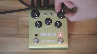 Extreme Analog LoFi 5 Second Delays with the Strymon Brigadier (Ambient Jam)