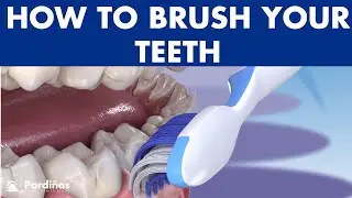 The best way to BRUSH YOUR TEETH - Modified Bass Technique ©