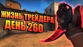 ЖИЗНЬ ТРЕЙДЕРА! УРОКИ ТРЕЙДА! КАК НА САМОМ ДЕЛЕ ПРОХОДЯТ ТРЕЙДЫ В STEAM! ДЕНЬ 260!