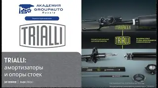 Воркшоп c TRIALLI:  амортизаторы и опоры стоек #академиягрупавто #Trialli