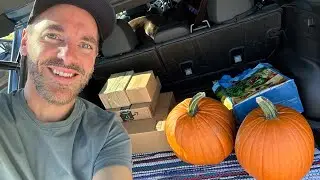 Got Our Pumpkins & Clark's $400 LEGO Wish List