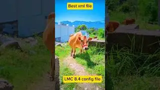 Best xml file for lmc 8.4 r17 gcam #lmc8 #gcam #gcamlmc