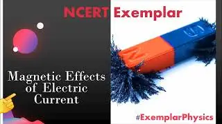 Magnetic Field | Magnetic Field Lines | Magnetic Effects of Electric Current | Class 10 | Exemplar