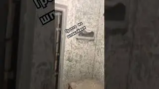 Гротто из полимерной шпаклёвки