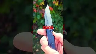 Chaves Sangre 229 Purple g10