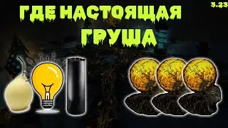 Пробую разные замазки на Blight-Ravaged Картах 3.23 Path of exile Afflictions