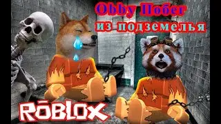 Побег из подземелья  ОББИ РОБЛОКС . Escape The Dungeon Obby ROBLOX.