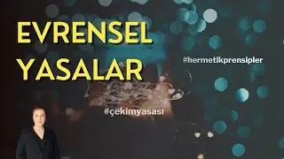 Evrensel Yasalar | Evrensel İşleyişi Öğrenin!