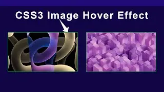 Image Card Hover slide Animation effect CSS | Image Hover Effect usinh HTML and CSS