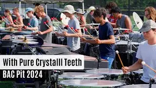 Boston Crusaders Pit 2024 "With Pure Crystalll Teeth"