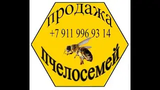 собираем пчелопакет
