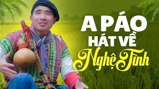 Tìm Em Câu Ví Sông Lam, Hà Tĩnh Quê Ơi - A Páo Hát Về Nghệ Tĩnh Đốn Tim Người Nghe