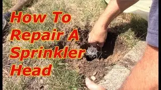 How To Repair A Sprinkler Head