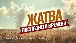 ЖАТВА ПОСЛЕДНЕГО ВРЕМЕНИ: Пророческий взгляд и духовная зрелость. Прямой эфир из Иерусалима