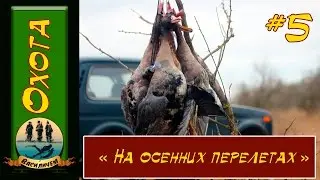 Охота на уток и гусей.