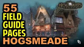 Hogsmeade: All 55 Field Guide Pages Locations | Hogwarts Legacy