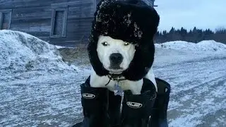 Что будет нас ждать в Снежной 