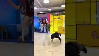 Этот парень заслуживает лайк?😱 