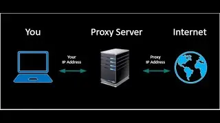 How to use a Proxy with Python Requests