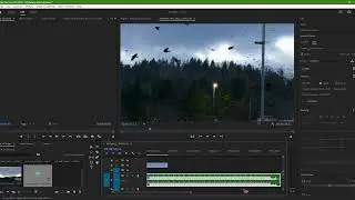 How to Loop relaxation Music in Adobe Premiere Pro In Just one Click