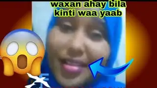 waxay tiri waxa lala yabo oo ah kintir ka ley gajarey waaa yaab somaliyey 😱😱