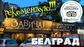 Белград. Кафе Завичай. Где вкусно и недорого поесть в Белграде. #балканысбмв