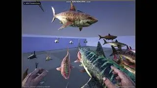 SCP 3000 testing