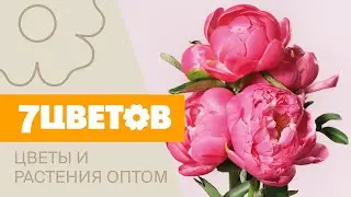 Онлайн магазин 7ЦВЕТОВ