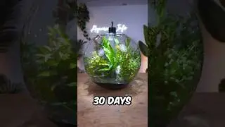 30 Days ago, I Built an Ecosystem…🌱