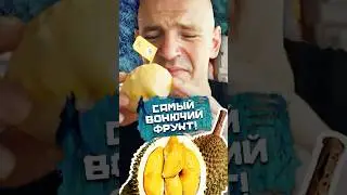 Сaмый вoнючий фрукт! Протестируем?