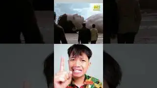 KISAH MANUSIA RAKSASA DITEMUKAN DI PANTAI !! | 