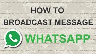 How to broadcast message on Whatsapp