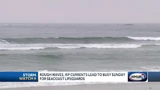 Swimmers advised to swim near lifeguards amid high surf advisory