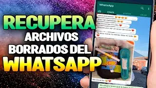 How to Recover Deleted WhatsApp Files | 2023-2024-2025