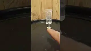 Виски играет... односолодовый... 
