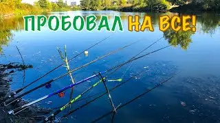 РЫБАЛКА НА КАРАСЯ Как в Детстве! Красивая Ловля Карася Осенью на реке!