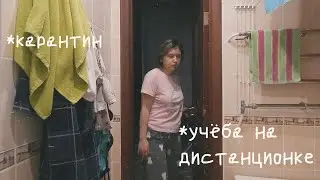 как я учусь на карантине| дистанционное обучение #2