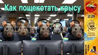 Телефонное мошенничество. Автор Андрей Моряк