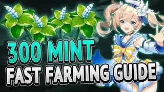 Mint 300 Locations FAST FARMING ROUTE | Genshin Impact 2.5