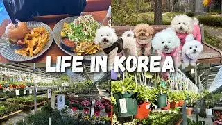 LIFE IN KOREA 🇰🇷 Plant Shopping in Korea 🪴