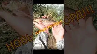 САМЫЙ КРУПНЫЙ ЗА ВСЁ ВРЕМЯ ПОЙМАН!!! 