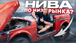 НА НИВЕ БЕЗ ДОКОВ И КРЫШИ ПО ГАРАЖАМ! Я ЧУТЬ НЕ ВЫПАЛ!?