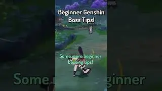 Some MORE Beginner Genshin Boss Tips!