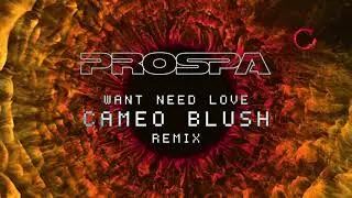 Prospa - Want Need Love (Cameo Blush Remix) | Visualiser