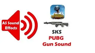 PUBG SKS Real Gun Sound 2022