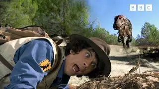 Discover BIG Dinosaurs with Andy | Andy's Dinosaur Adventures | Andy's Amazing Adventures